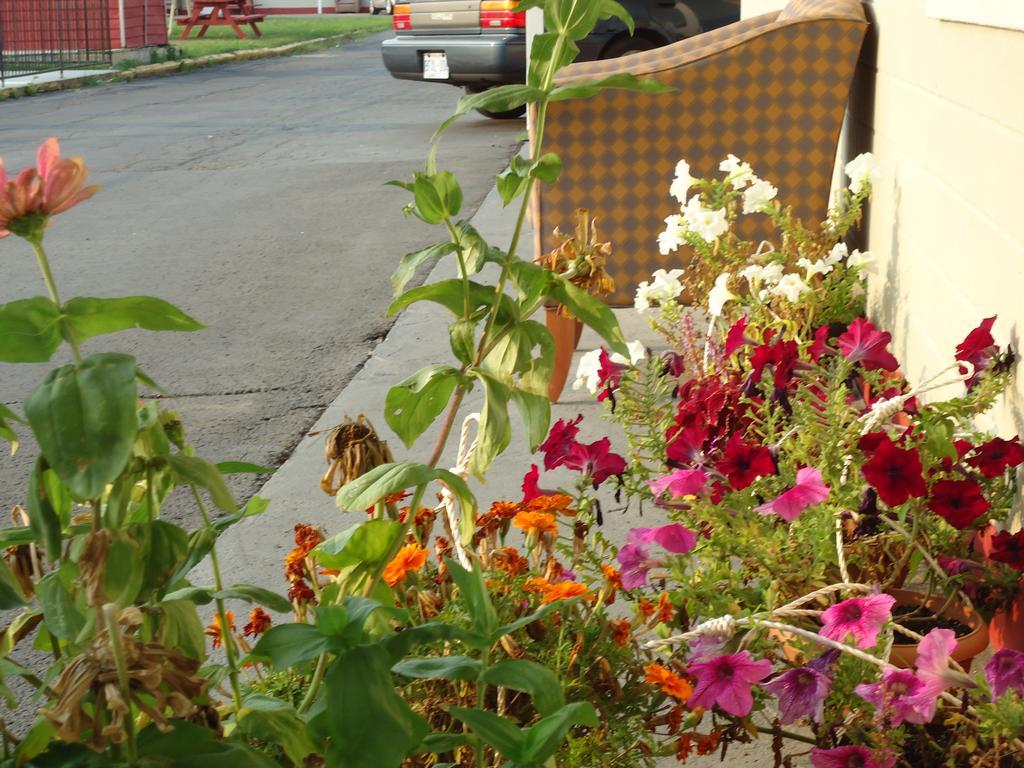 Star Inn By Elevate Rooms Niagara Falls Exteriör bild